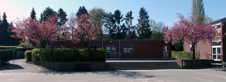 KVG – Kardinal von Galen Schule – Rheine